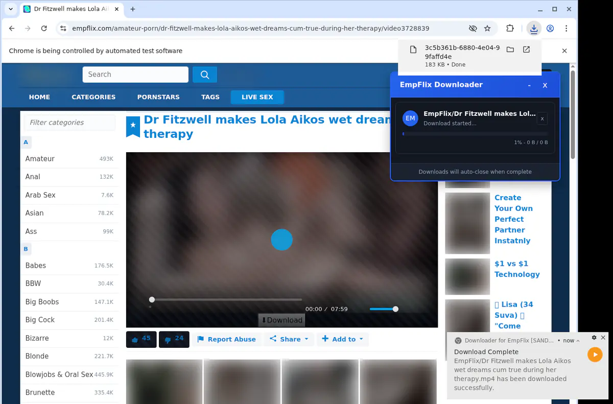 Empflix Video Downloader screenshot 2