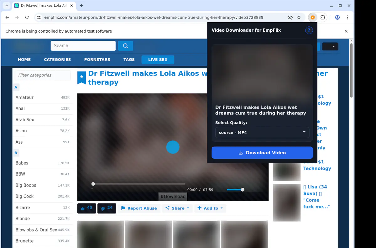 Empflix Video Downloader screenshot 3